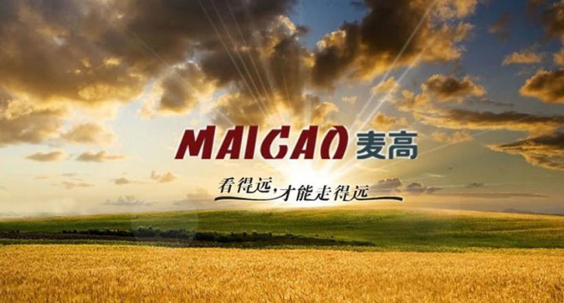 麦高皮鞋加盟