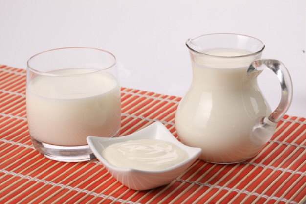 雪宝乳业加盟 雪宝乳业加盟