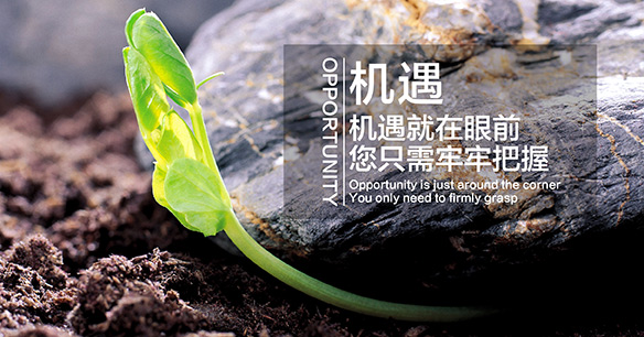 泉城烤薯加盟