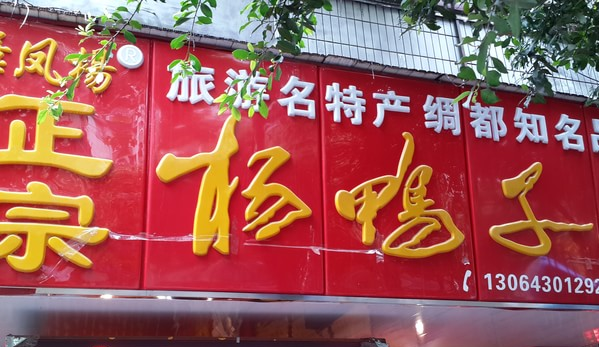 杨鸭子加盟