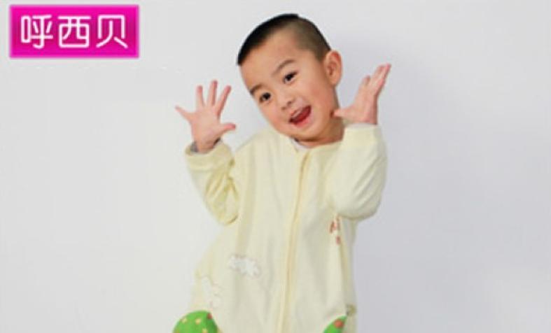 呼西贝加盟