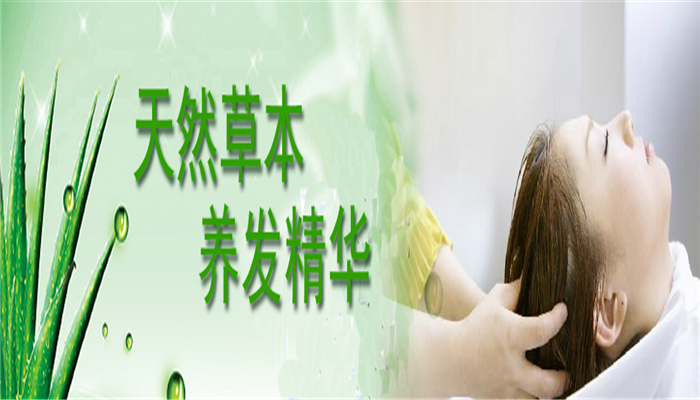 发道加盟