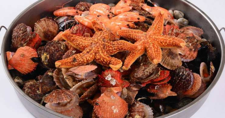 一锅海鲜加盟优势