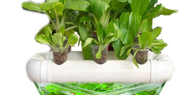 阳光地带加盟优势