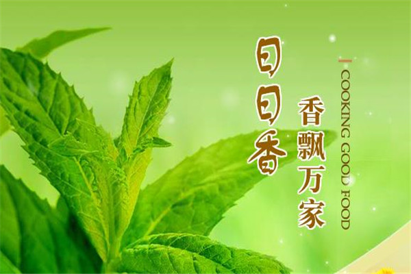 日日香加盟