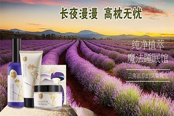 百草童话加盟