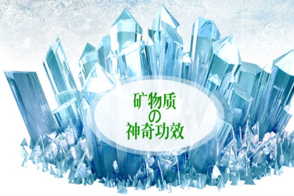 圣艾芙加盟 圣艾芙加盟