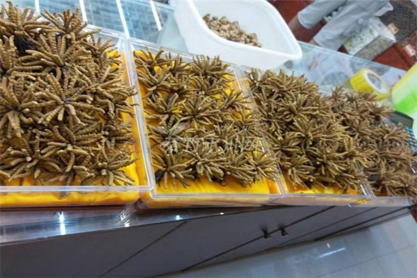 洪福堂加盟