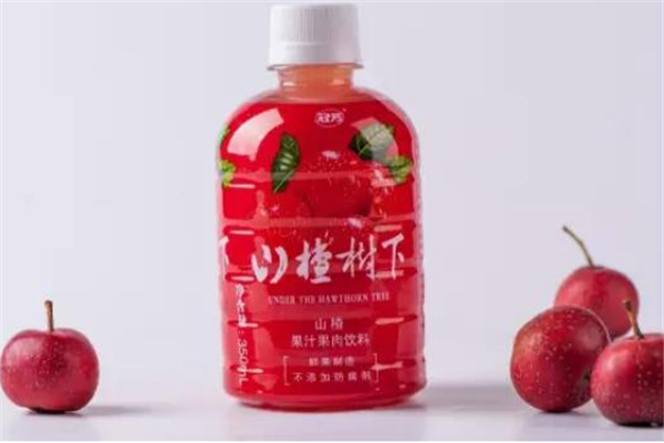 冠芳加盟