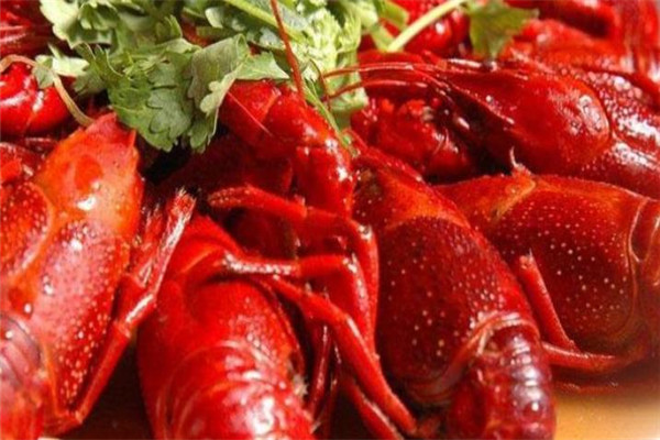 阳光院坝小龙虾加盟