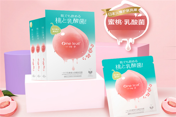 一叶子加盟