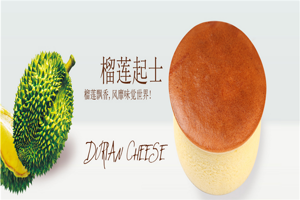法瑞滋加盟