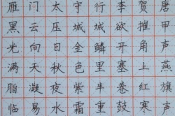 德杰哈哈练字