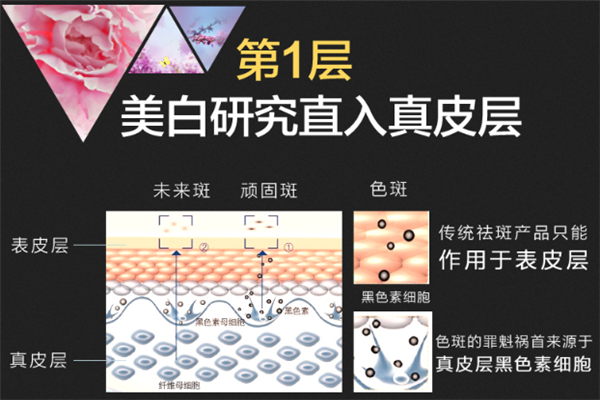 雅顿兰斯加盟