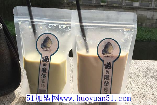 猫的魔法密林