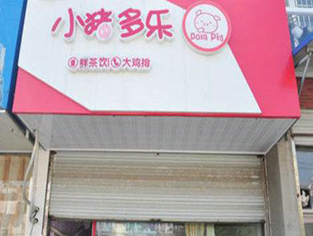 小猪多乐