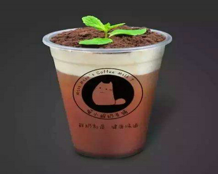 喵小姐的奶茶店