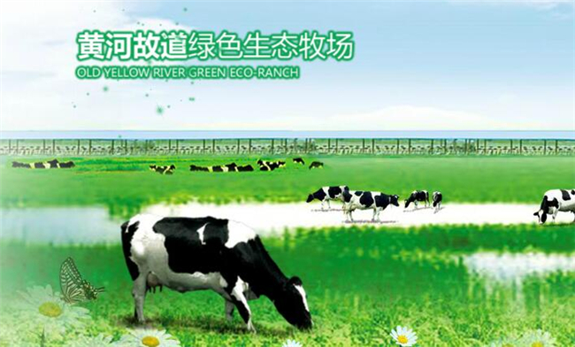 科迪牛奶
