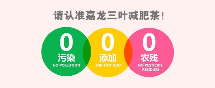 三叶减肥茶