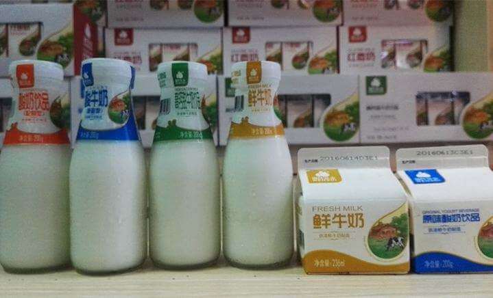 温氏牛奶