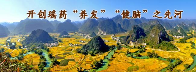 巴马瑶寨