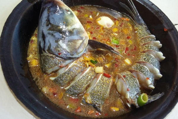 灶台鱼 灶台鱼