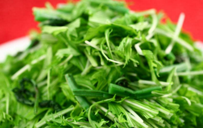 山野菜加盟