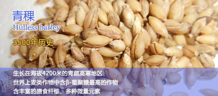 威远青稞酒加盟