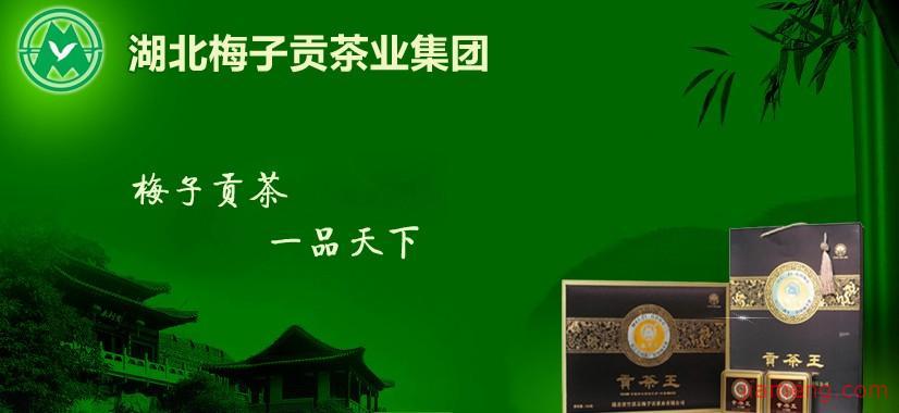 梅子贡茶加盟