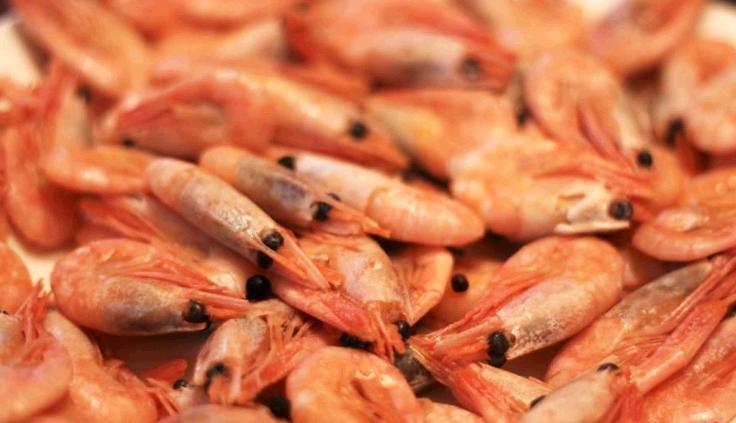 双缘熟食店加盟 双缘熟食店加盟