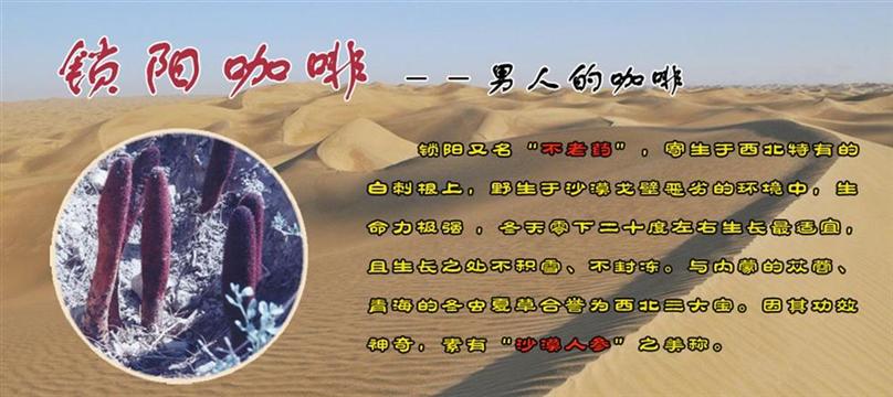 锁阳咖啡加盟