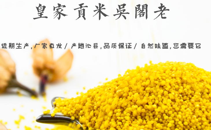 吴阁老加盟