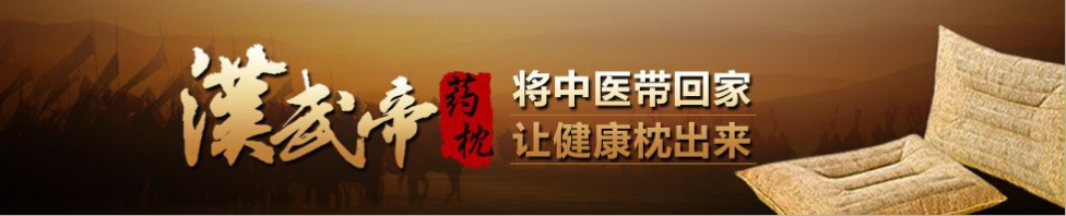 汉武帝药枕加盟