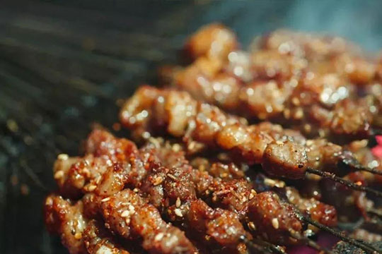 馋瘾烧烤加盟
