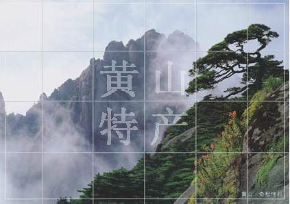 花五季加盟