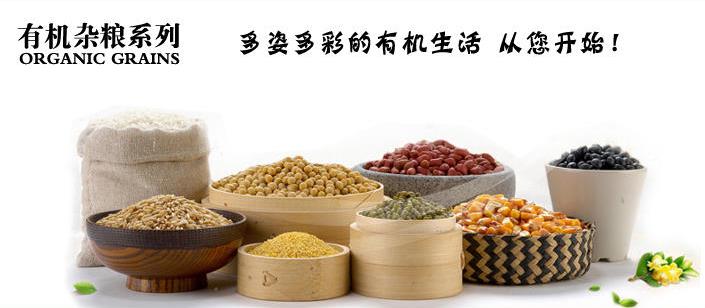 红粗粮养生粥加盟