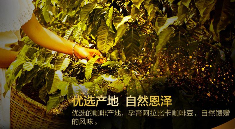 丹迈尼咖啡加盟