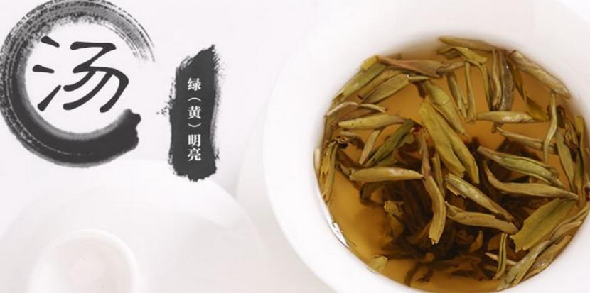 广元市白龙茶叶有限公司加盟