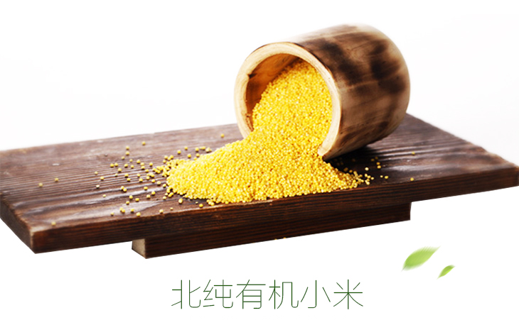 北纯加盟