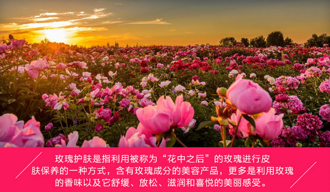 玫瑰之恋化妆品加盟