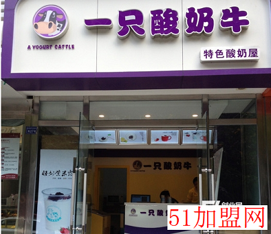 一只酸奶牛加盟