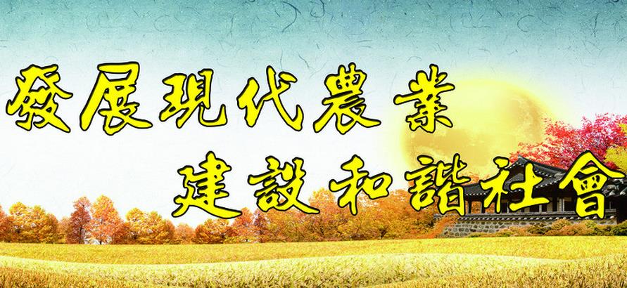 路下农业加盟