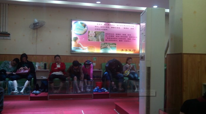小鱼泡脚加盟