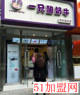 一只酸奶牛加盟