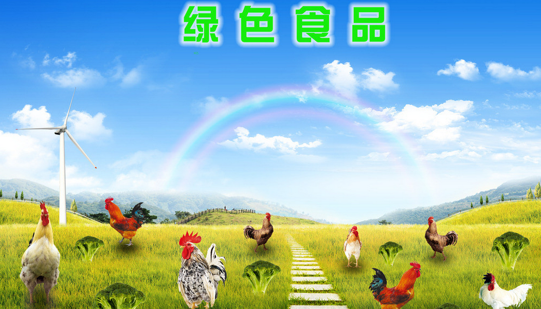 齐齐哈尔绿色食品加盟