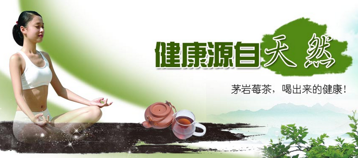 茅岩莓保健茶加盟