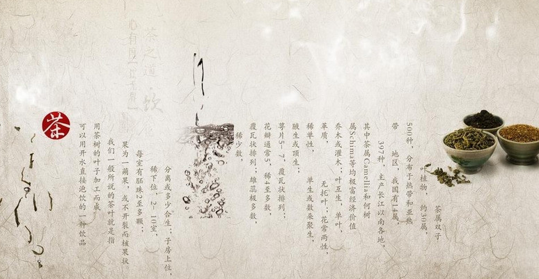 茶舞飞扬休闲饮品加盟
