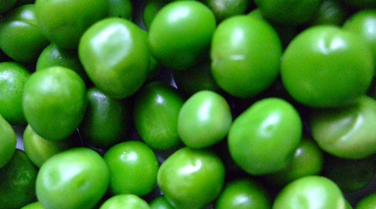 千叶环球水果蔬菜食品加盟