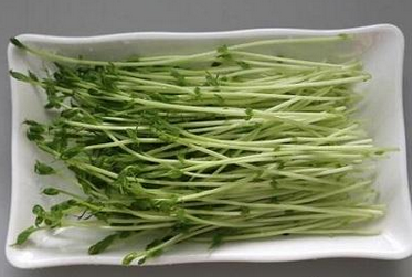 菜立方芽苗菜加盟