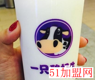 一只酸奶牛加盟